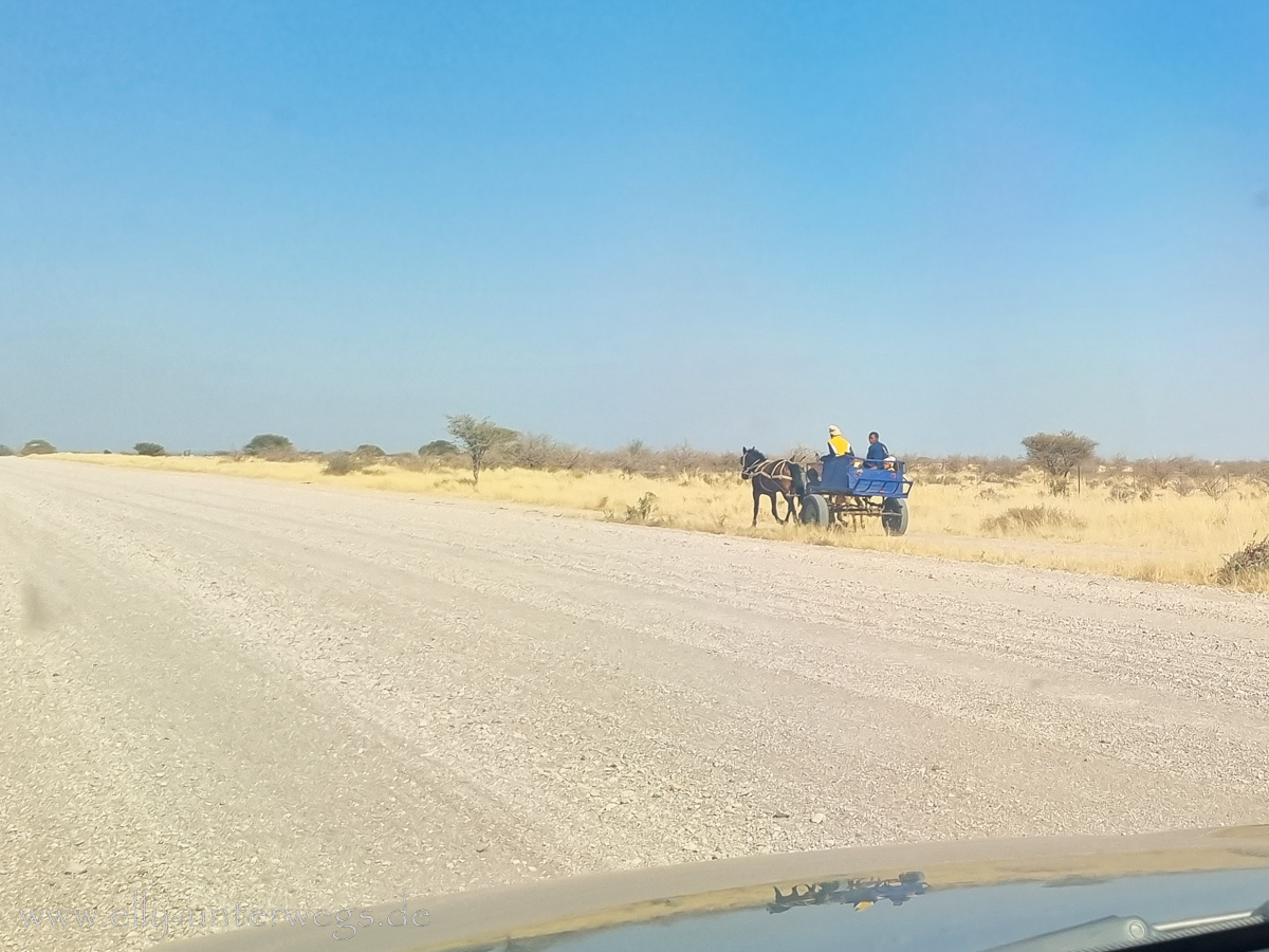 Namibia-Maltahoehe-20.jpg
