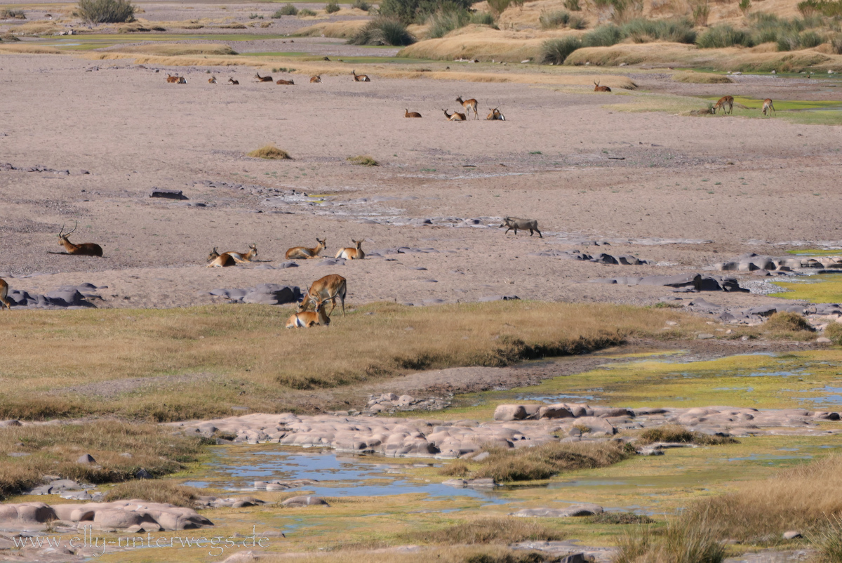 Namibia-Maltahoehe-27.jpg