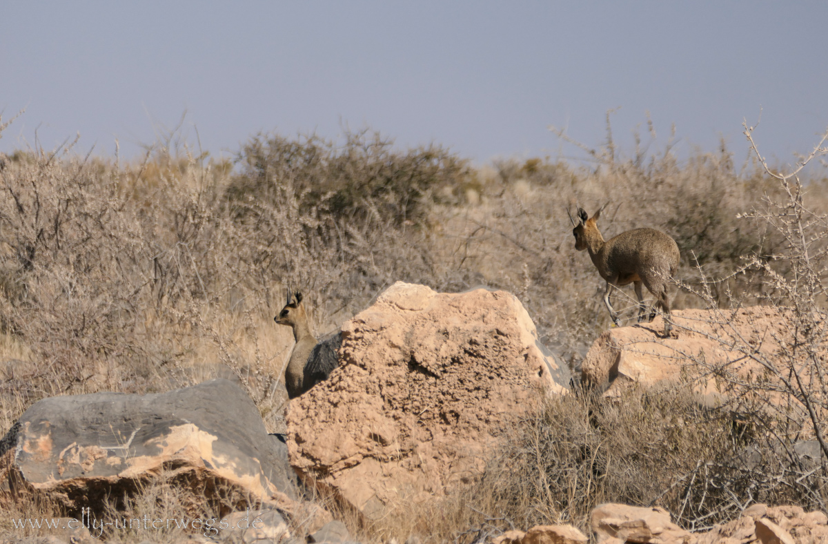 Namibia-Maltahoehe-60.jpg