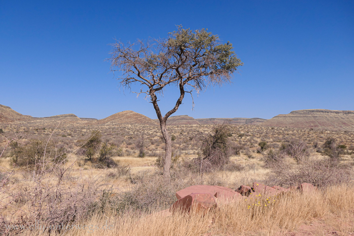 Namibia-Maltahoehe-71.jpg