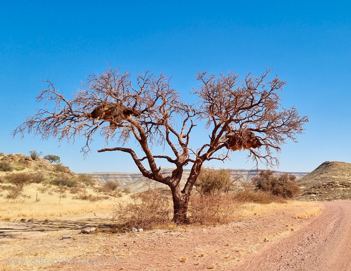 Namibia-Maltahoehe-87.jpg