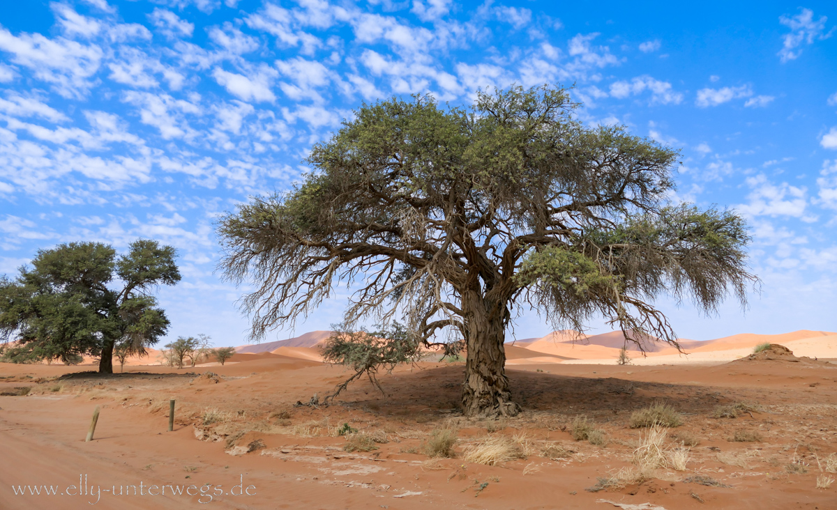 Sossusvlei-Deadvlei-101.jpg