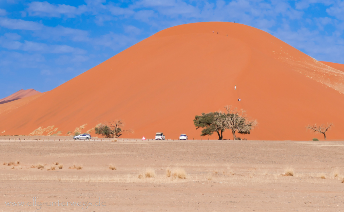 Sossusvlei-Deadvlei-107.jpg