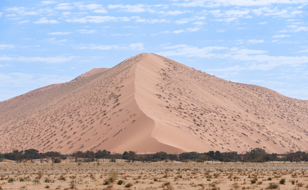 Sossusvlei-Deadvlei-114.jpg