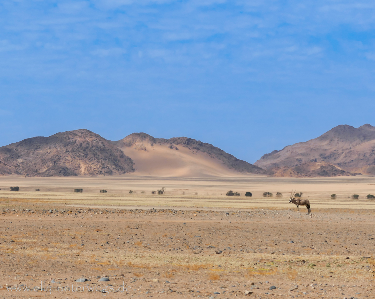 Sossusvlei-Deadvlei-115.jpg