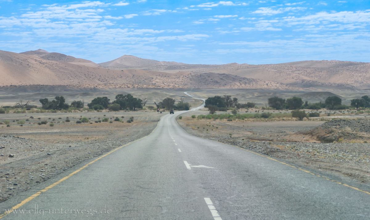 Sossusvlei-Deadvlei-116.jpg