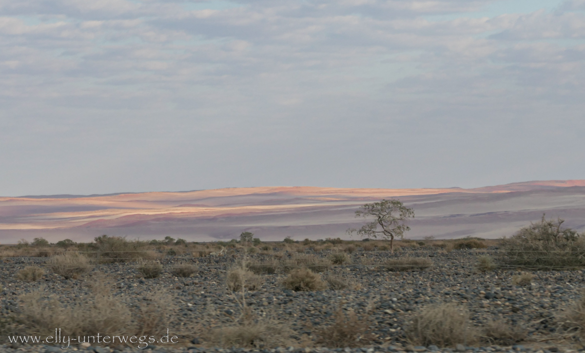 Sossusvlei-Deadvlei-12.jpg