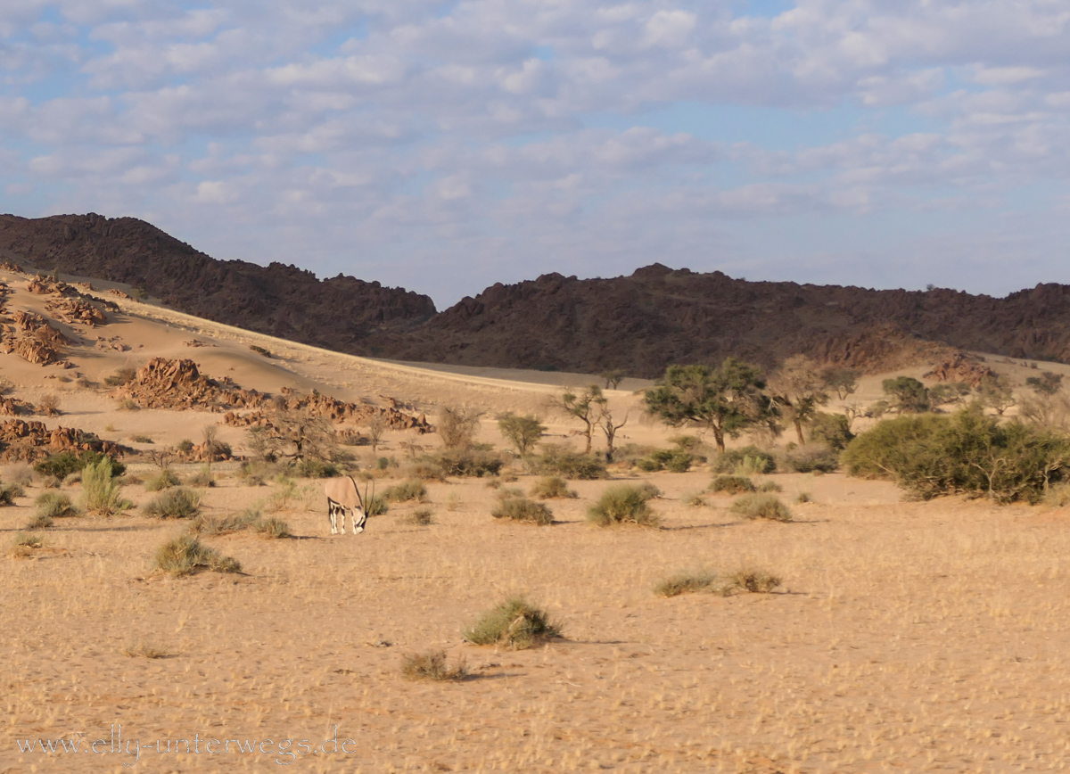 Sossusvlei-Deadvlei-16.jpg