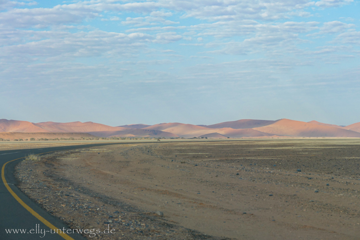 Sossusvlei-Deadvlei-24.jpg