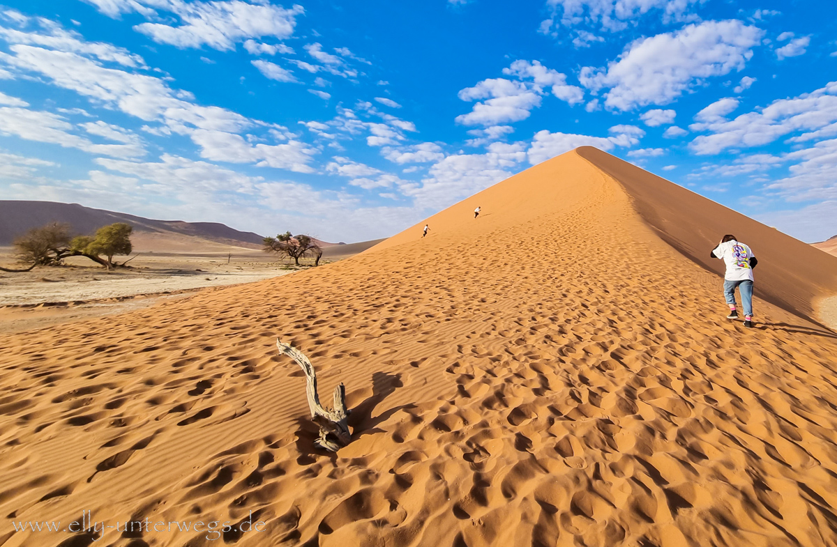 Sossusvlei-Deadvlei-34.jpg