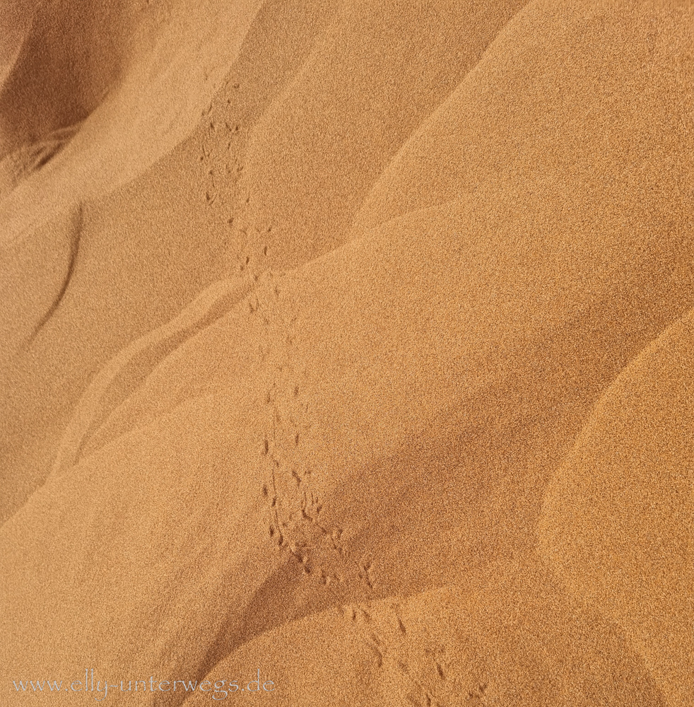 Sossusvlei-Deadvlei-44.jpg