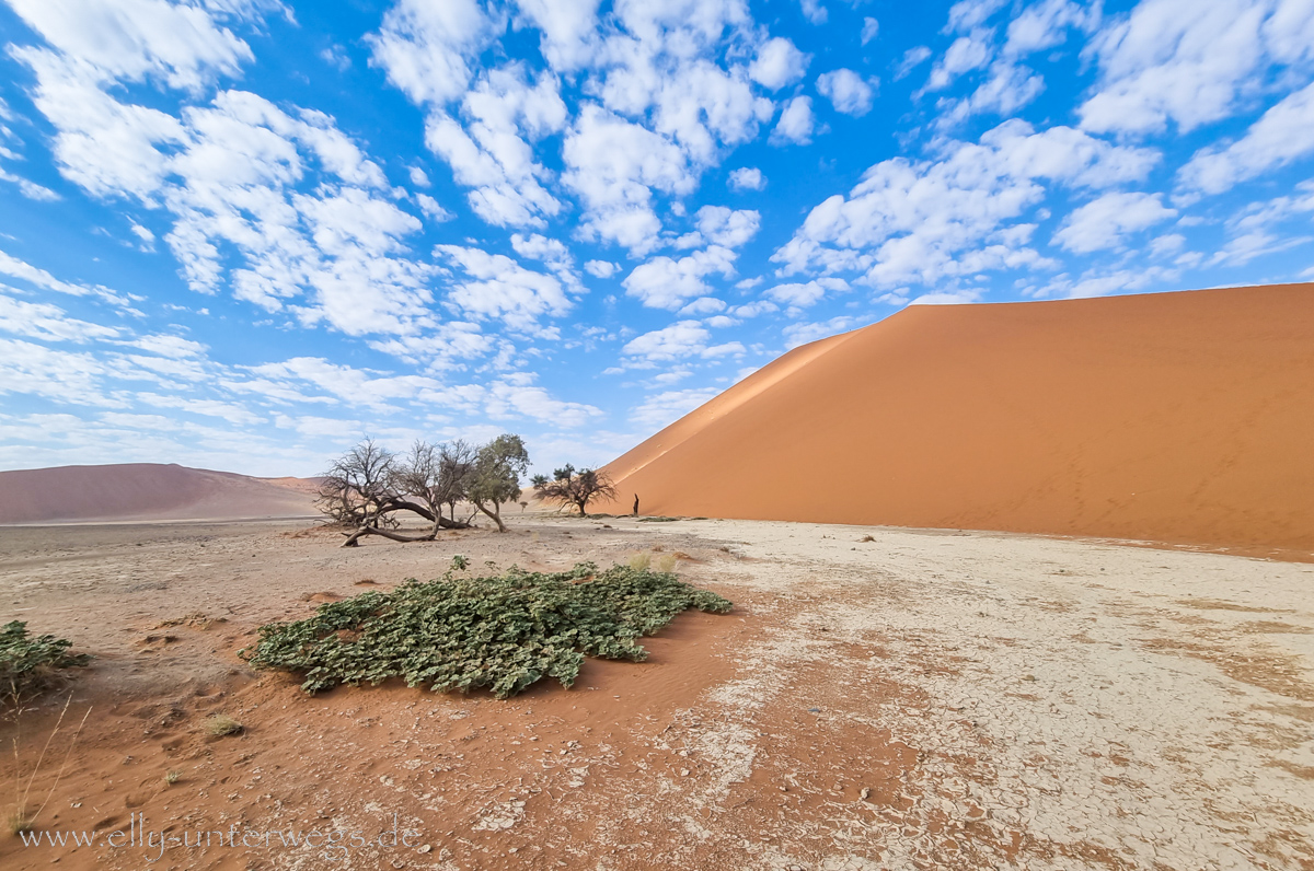 Sossusvlei-Deadvlei-46.jpg