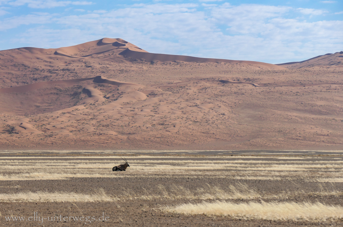 Sossusvlei-Deadvlei-48.jpg