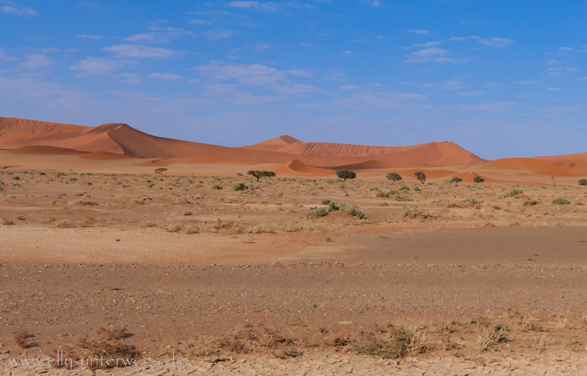 Sossusvlei-Deadvlei-52.jpg