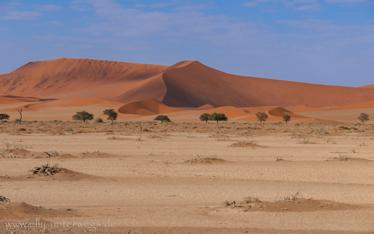 Sossusvlei-Deadvlei-53.jpg