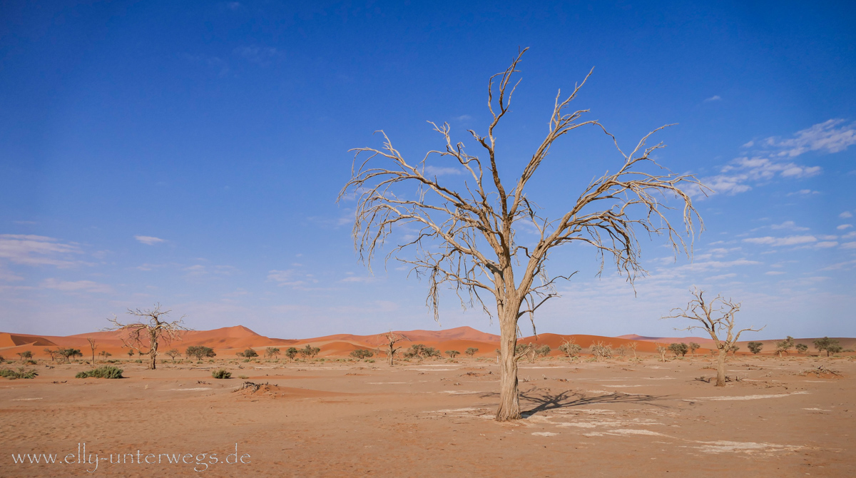 Sossusvlei-Deadvlei-54.jpg