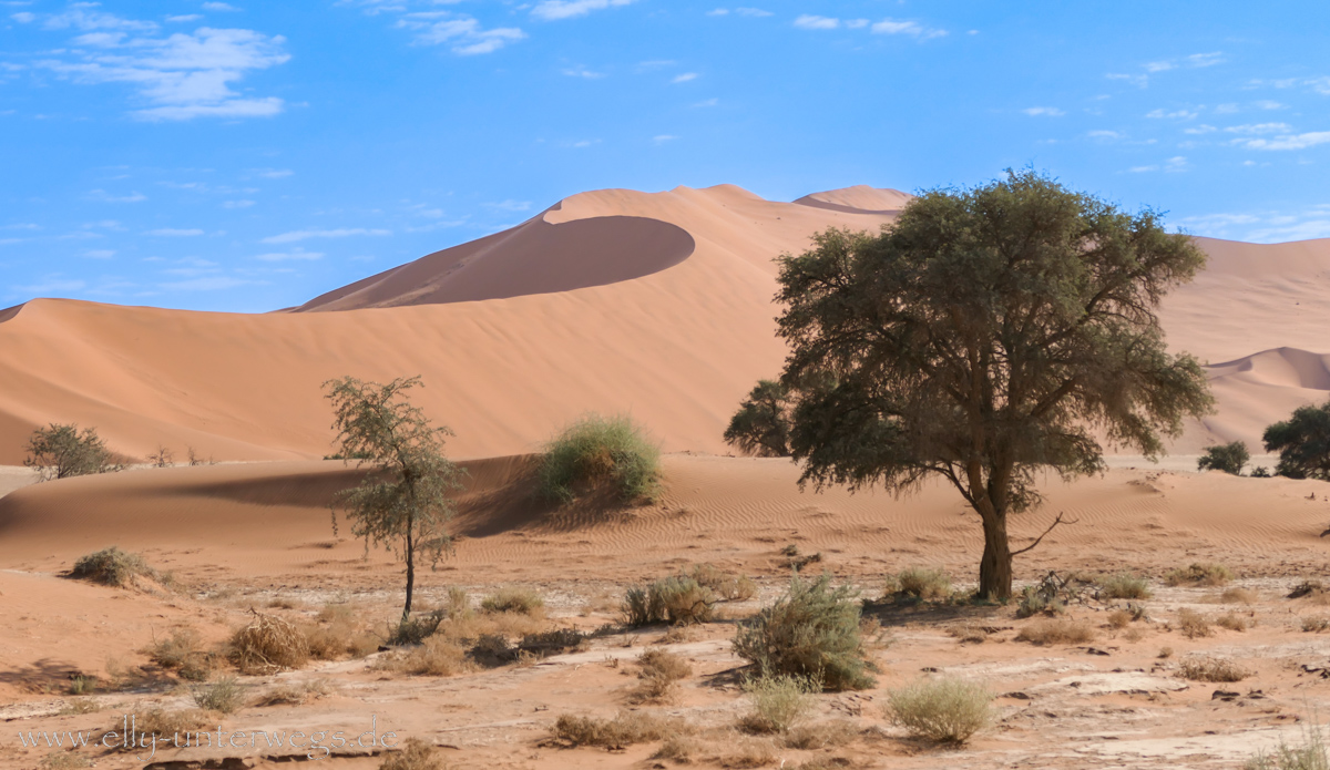 Sossusvlei-Deadvlei-55.jpg