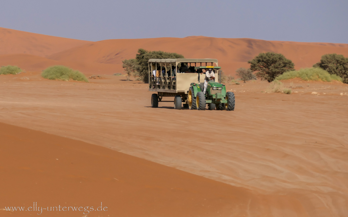 Sossusvlei-Deadvlei-57.jpg