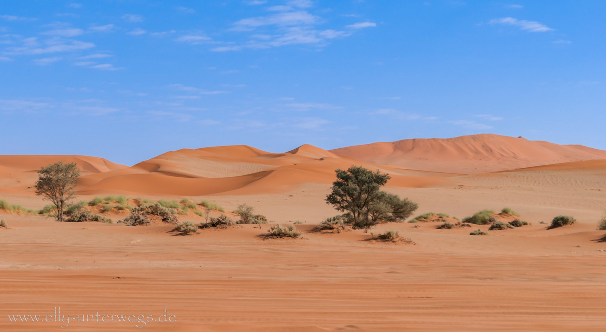 Sossusvlei-Deadvlei-58.jpg