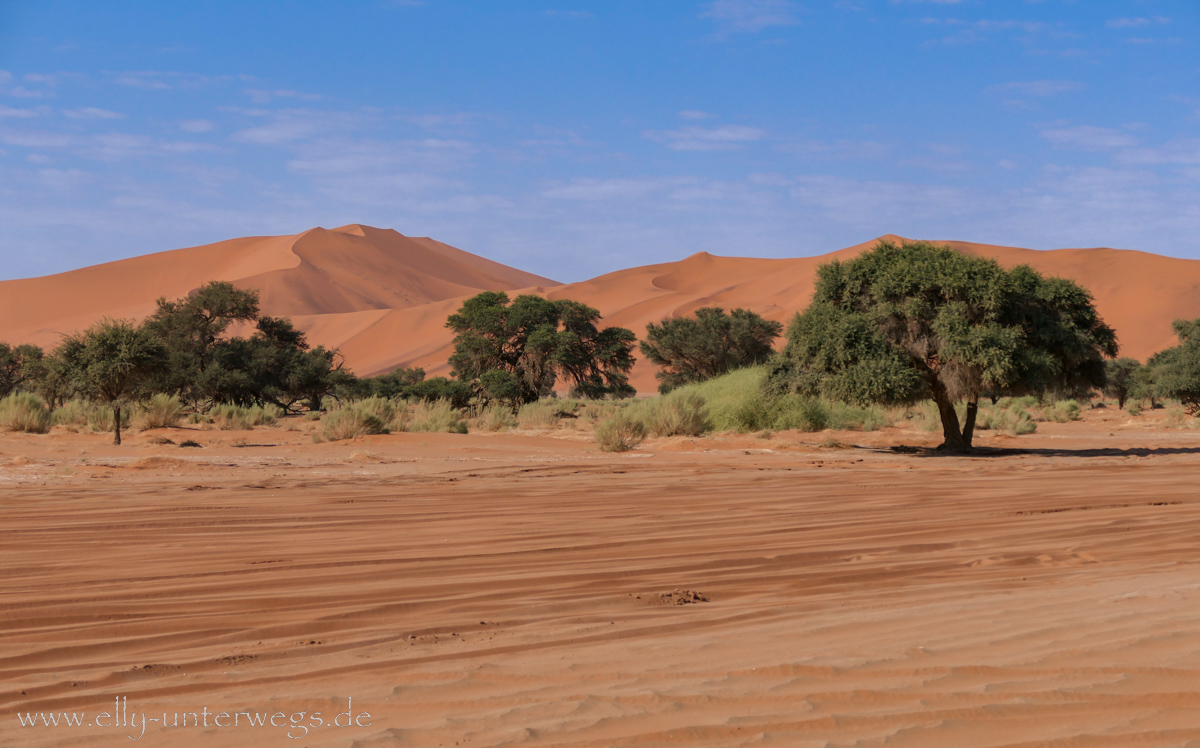 Sossusvlei-Deadvlei-59.jpg