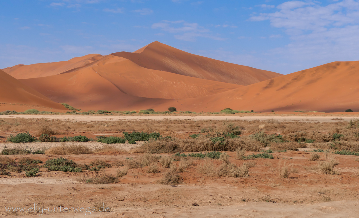 Sossusvlei-Deadvlei-61.jpg