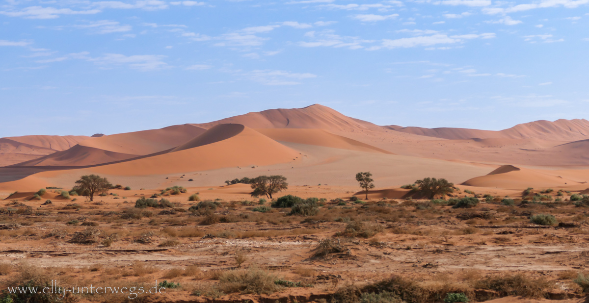 Sossusvlei-Deadvlei-62.jpg