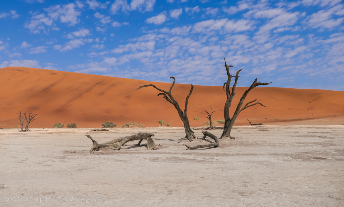 Sossusvlei und Deadvlei – Rote Dünen, Sand in den Schuhen – und viele tolle Fotospots