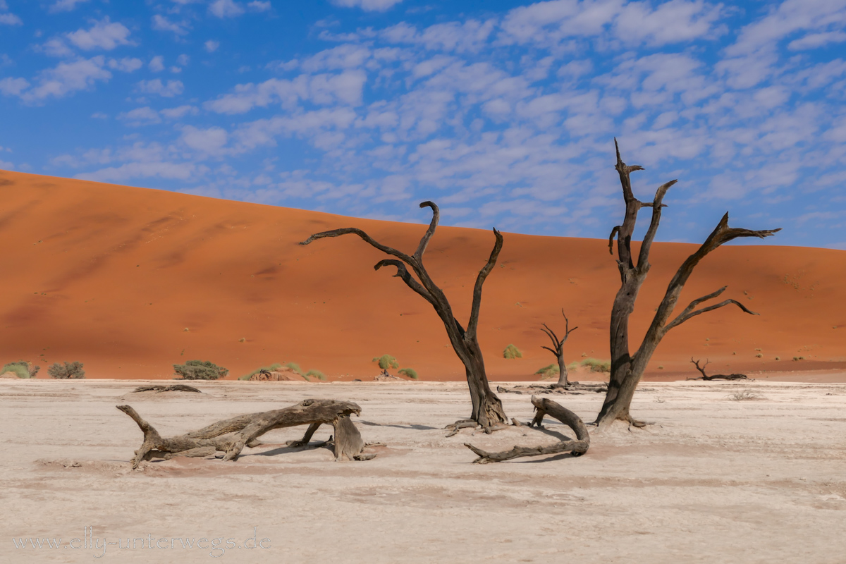 Sossusvlei-Deadvlei-69.jpg