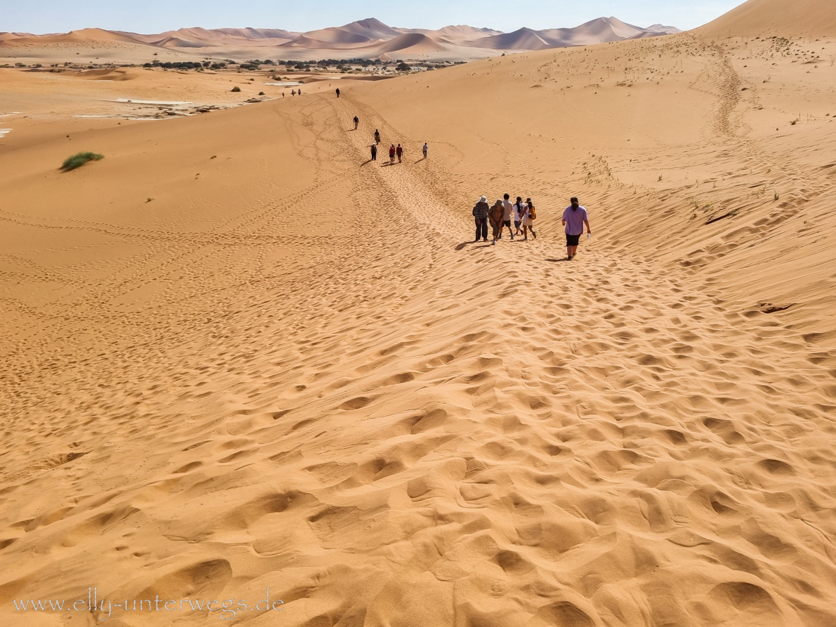 Sossusvlei-Deadvlei-72.jpg