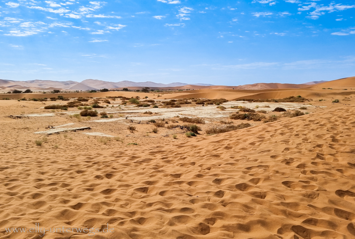 Sossusvlei-Deadvlei-77.jpg