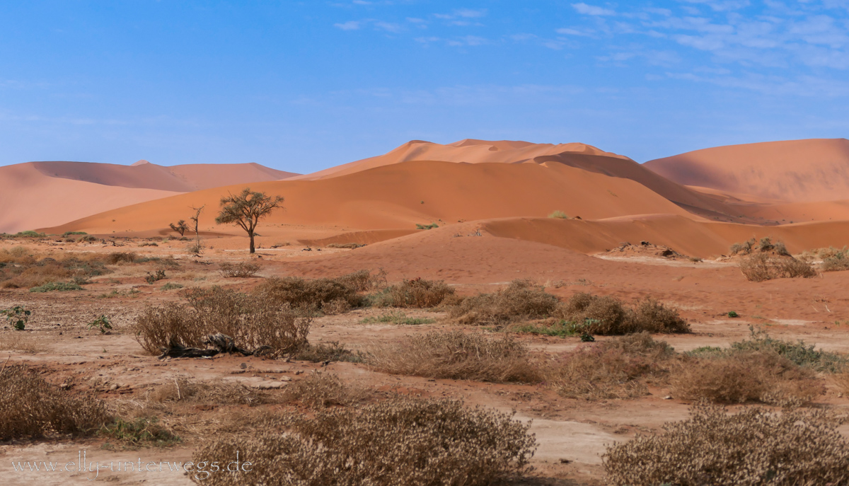 Sossusvlei-Deadvlei-78.jpg