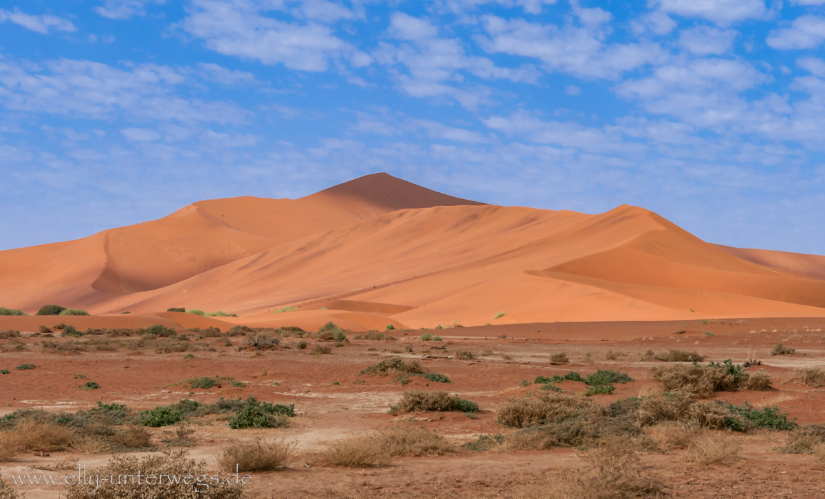 Sossusvlei-Deadvlei-79.jpg