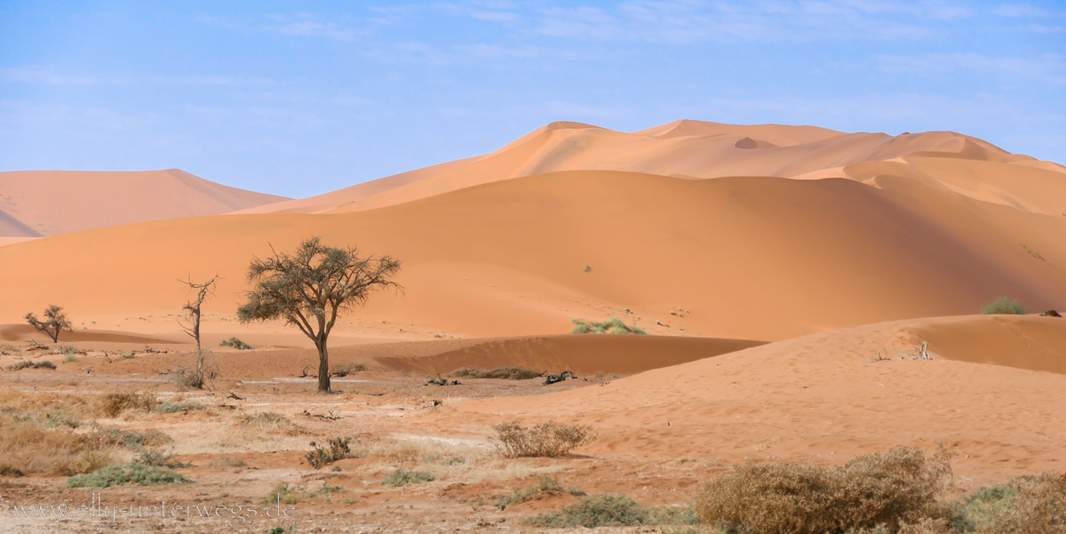 Sossusvlei-Deadvlei-80.jpg