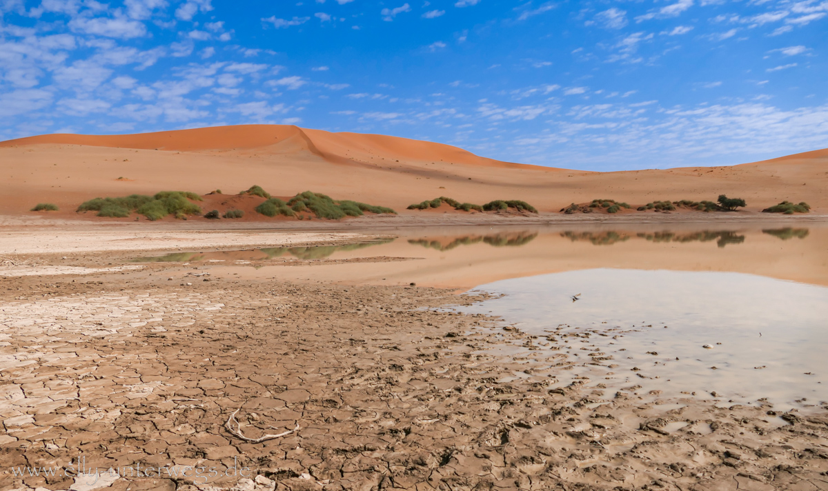 Sossusvlei-Deadvlei-84.jpg