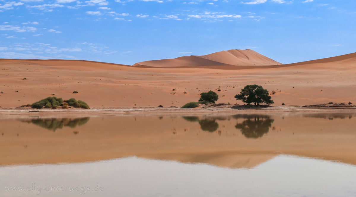 Sossusvlei-Deadvlei-85.jpg