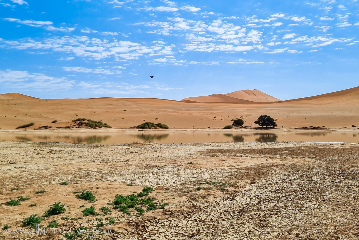 Sossusvlei-Deadvlei-86.jpg