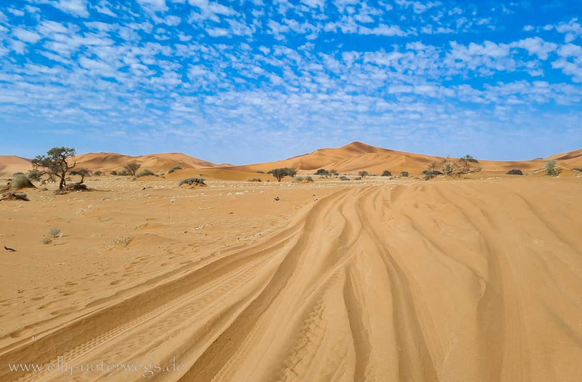 Sossusvlei-Deadvlei-88.jpg