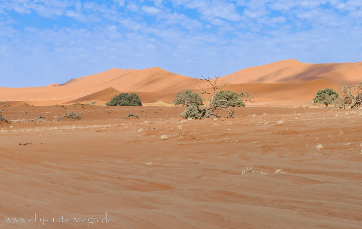 Sossusvlei-Deadvlei-89.jpg