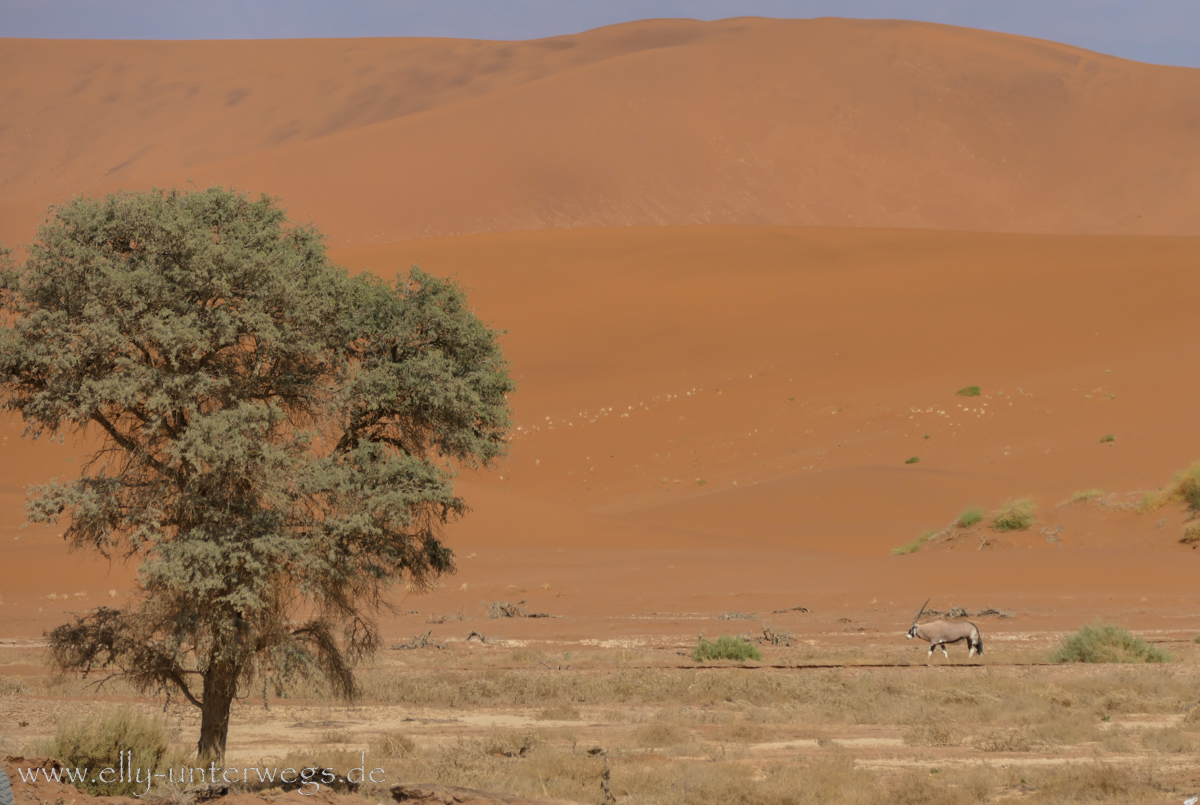 Sossusvlei-Deadvlei-91.jpg