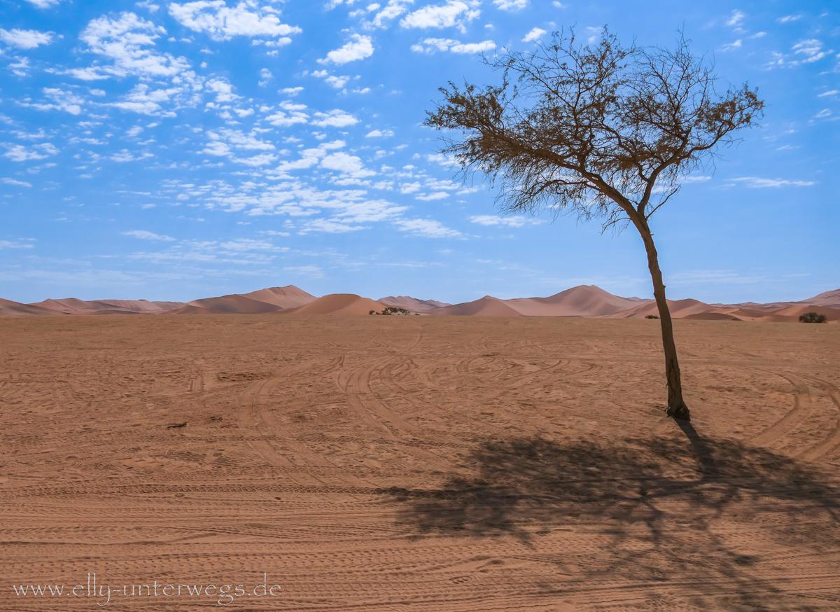 Sossusvlei-Deadvlei-92.jpg