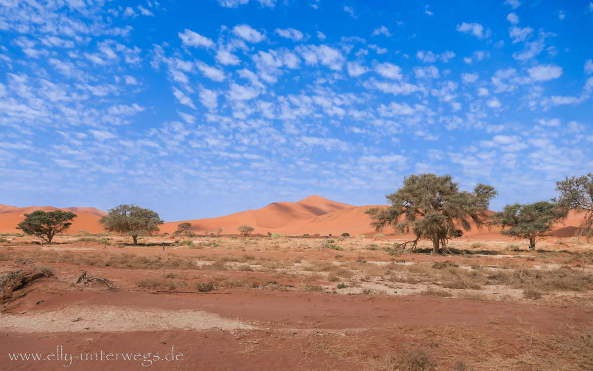 Sossusvlei-Deadvlei-94.jpg