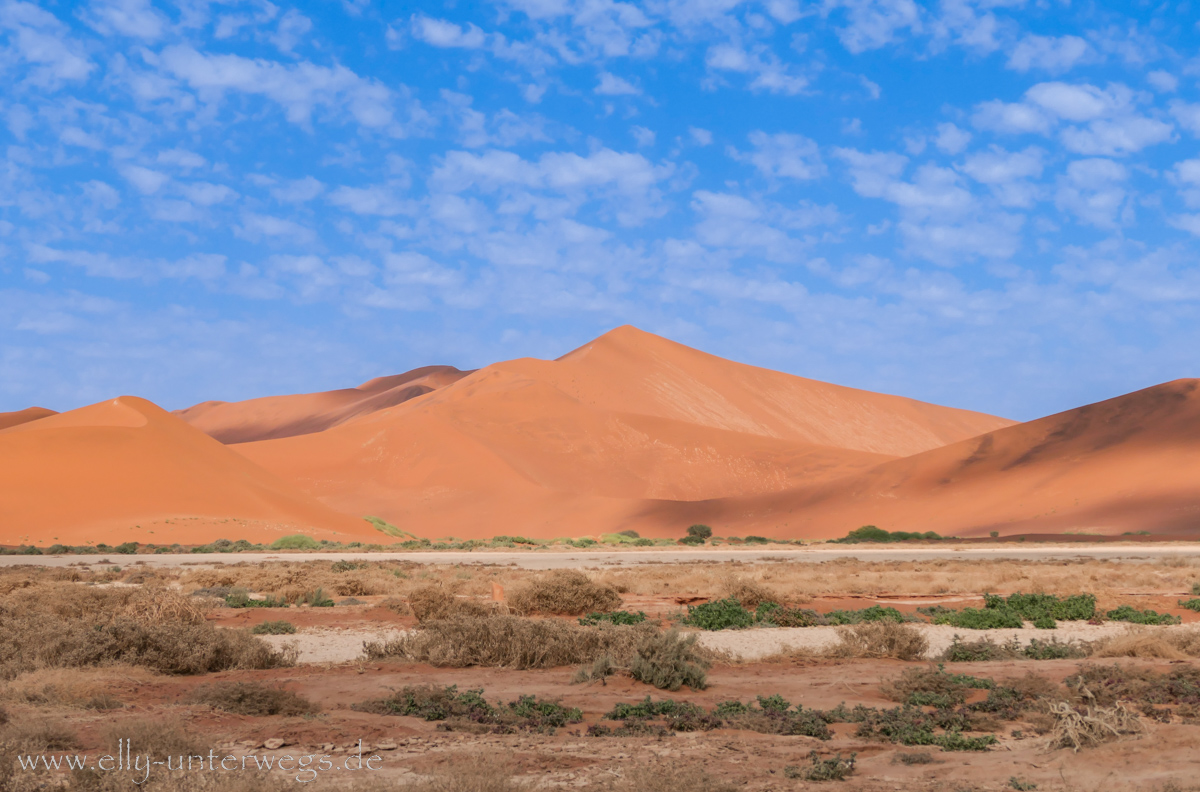 Sossusvlei-Deadvlei-95.jpg