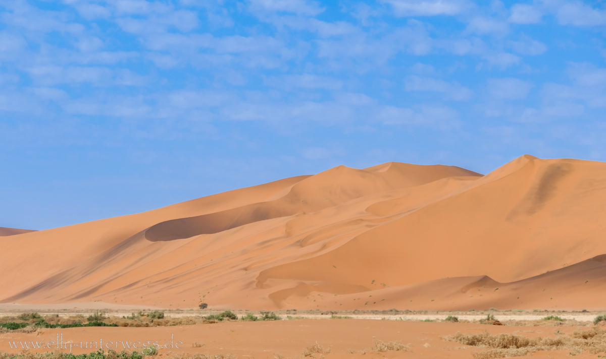 Sossusvlei-Deadvlei-96.jpg