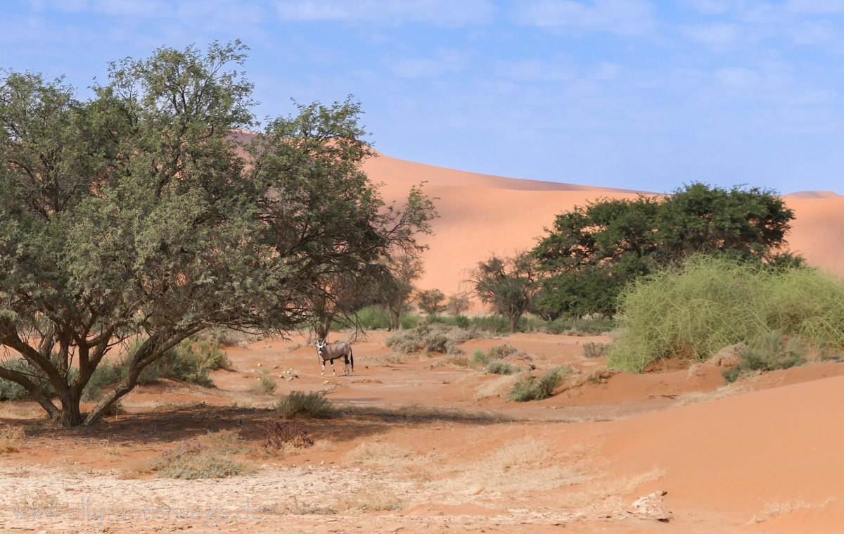 Sossusvlei-Deadvlei-97.jpg