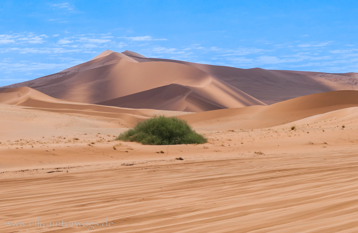 Sossusvlei-Deadvlei-98.jpg