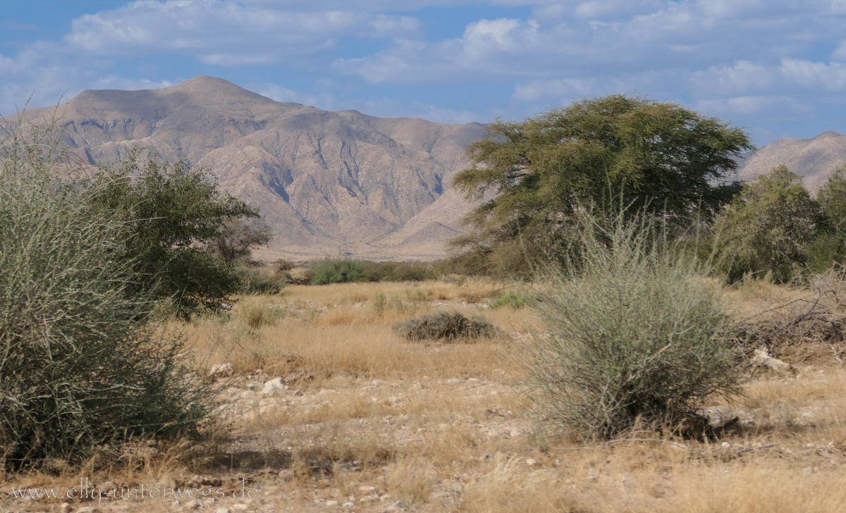 Solitaire-Gaub-Pass-Namibia-23.jpg