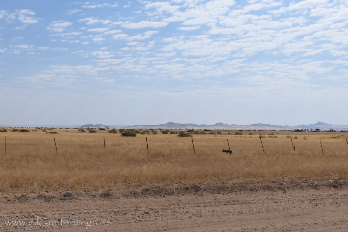 Solitaire-Gaub-Pass-Namibia-27.jpg