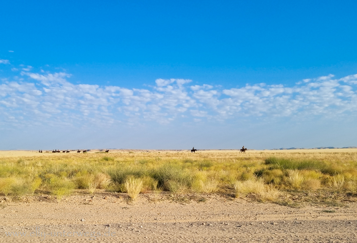 Solitaire-Gaub-Pass-Namibia-91.jpg