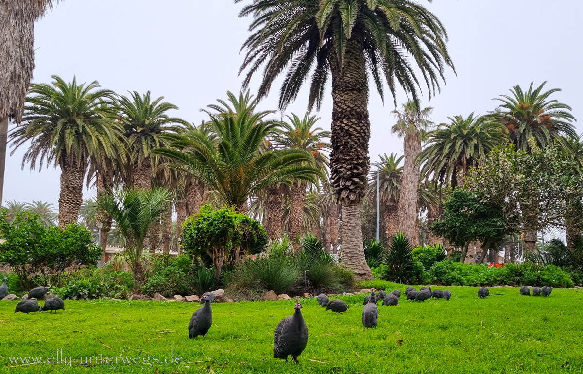 Swakopmund-75.jpg