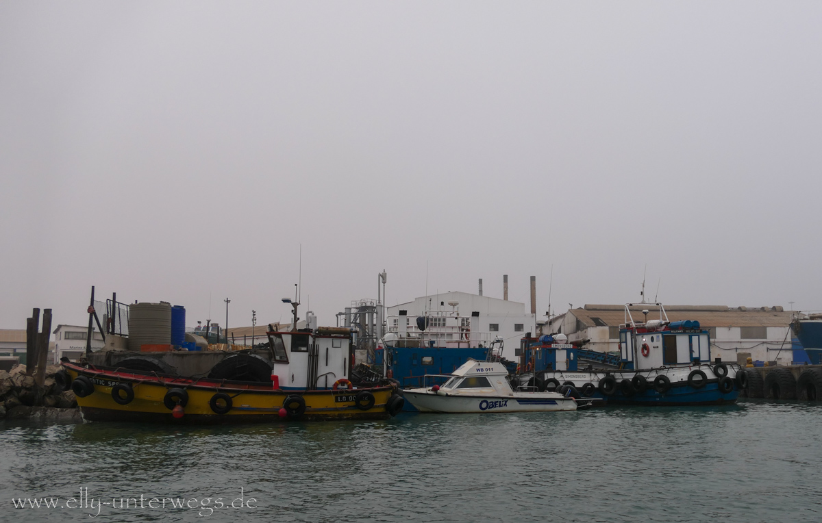 Swakopmund-Bootsfahrt-19.jpg